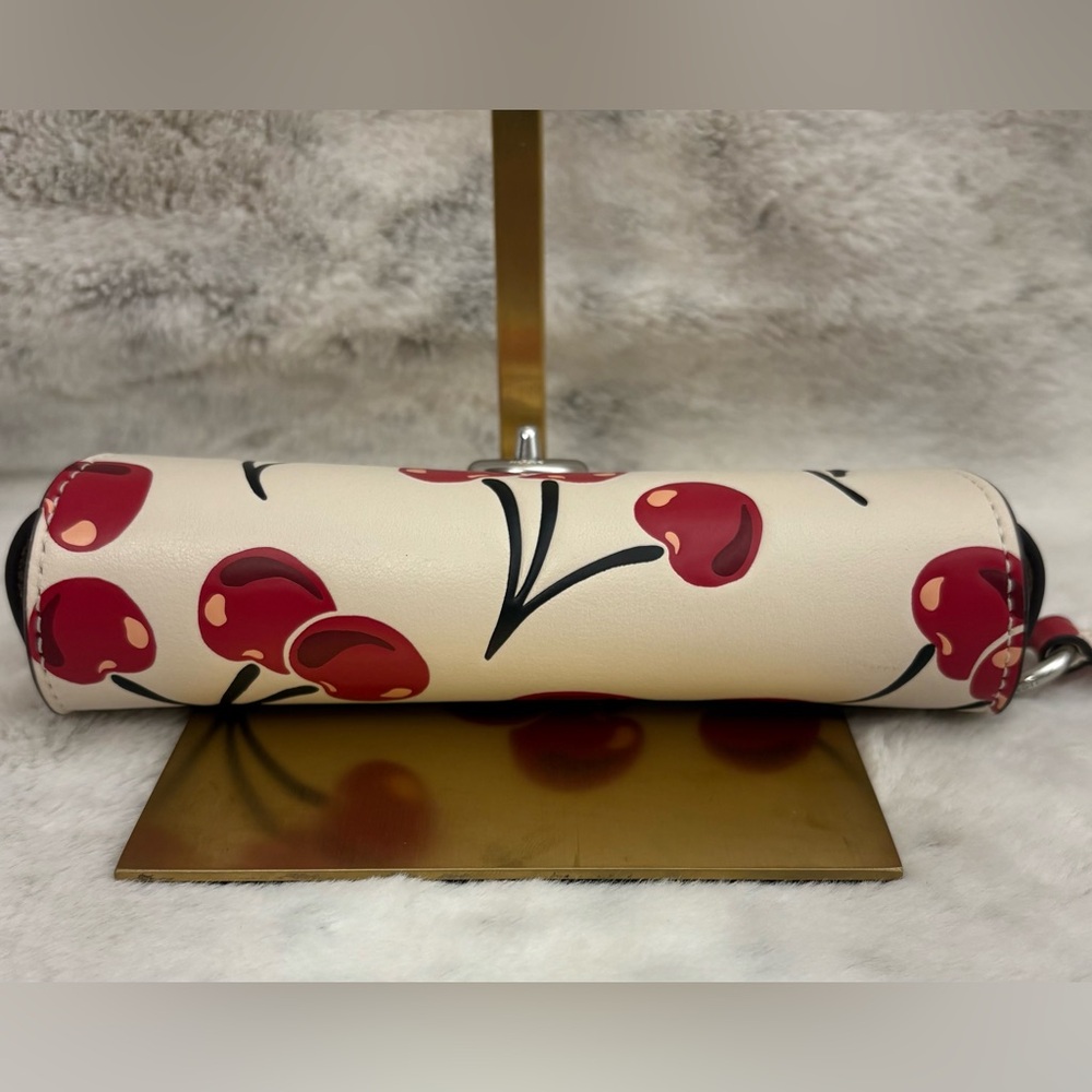 Coach NWOT Cherry Sunglasses Glasses case with clip Leather Silver Hardware - Picture 4 of 9